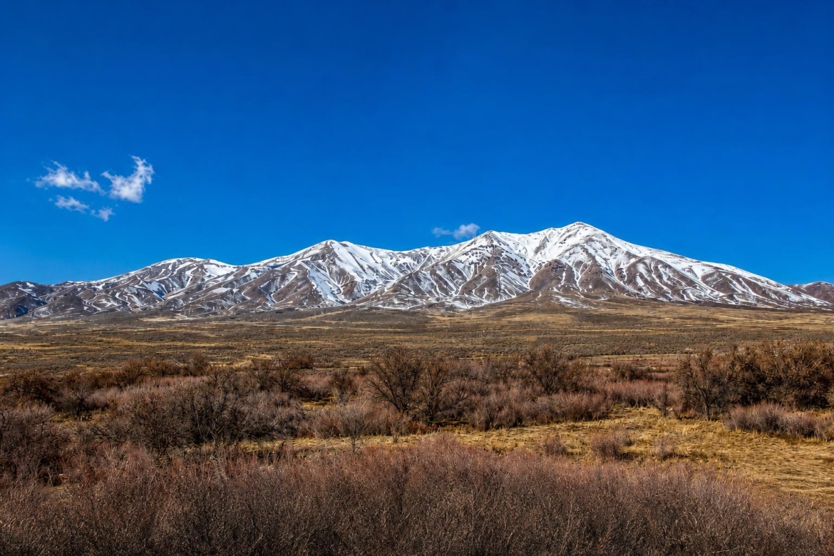 Winnemucca (Owner Financing $349.00 a month), NV Land for Sale: 4.87 Acres with Owner Financing Available