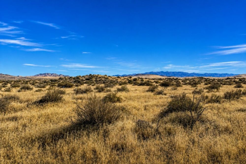 Supplemental gallery image for owner-financed land in Winnemucca Nevada