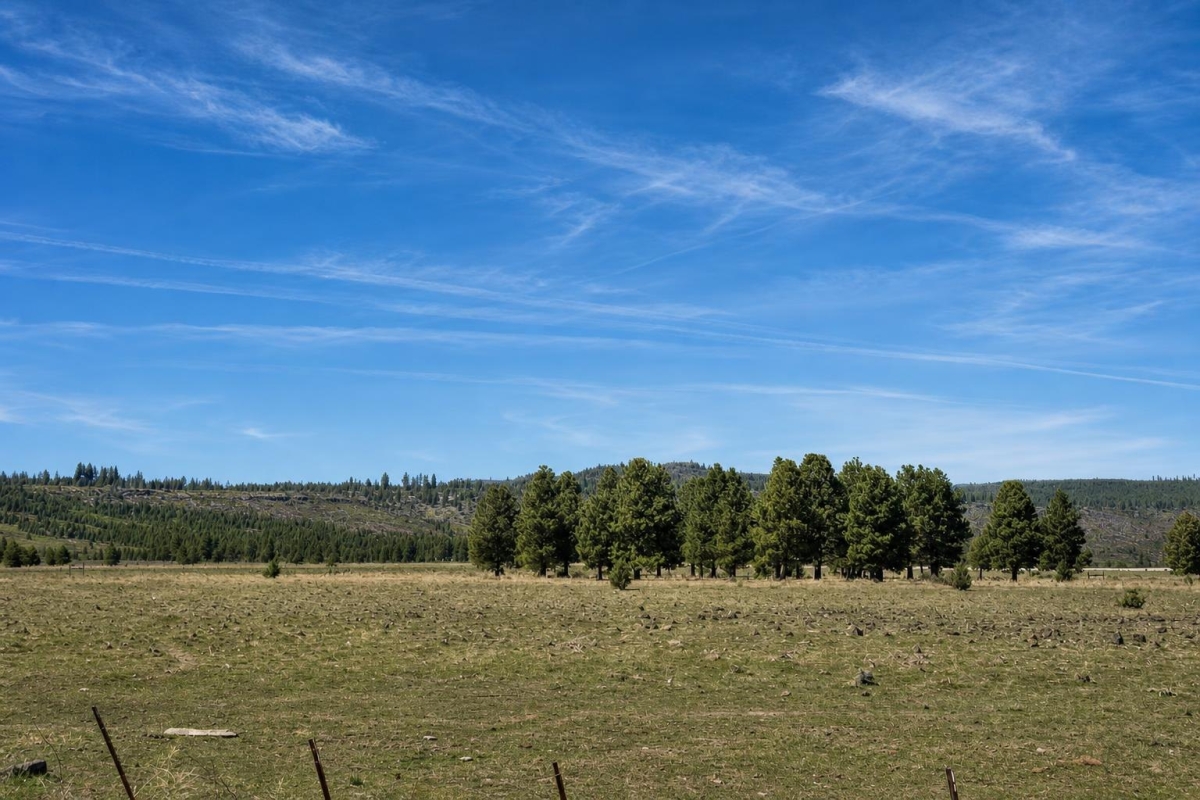 Sprague River, OR Land for Sale: 120 Acres with Check "access Note" Dirt Road (land…