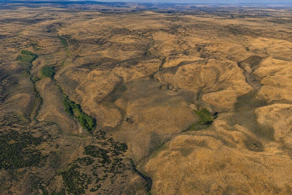 Additional rural land view associated with the Sprague River acreage listing