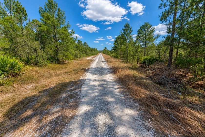 Lake Placid, FL Land for Sale: 0.23 Acres with Owner Financing Available