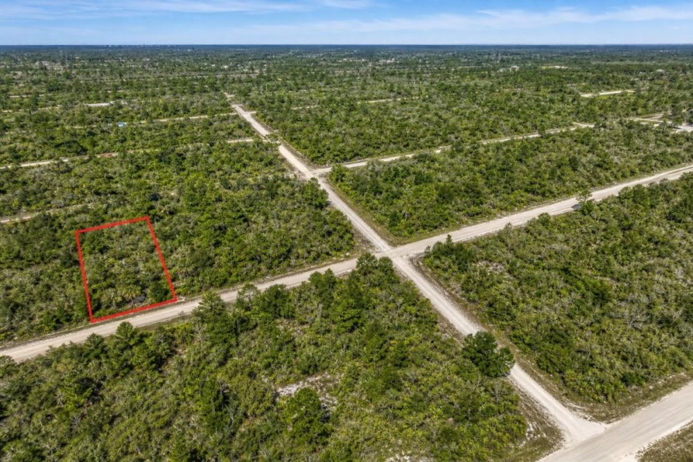 Supporting image for Lake Placid Florida vacant lot LC26158