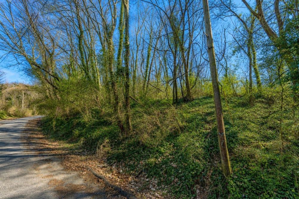 Supplemental image from the Awtry St Chattanooga land listing