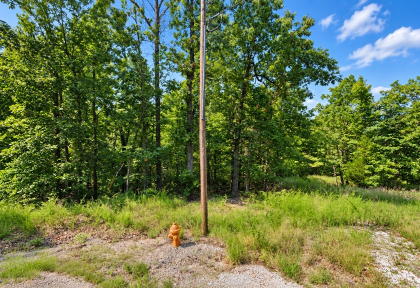  0.65 Acres for Sale in Cherokee Village (Golf Course & Lake Close), Arkansas