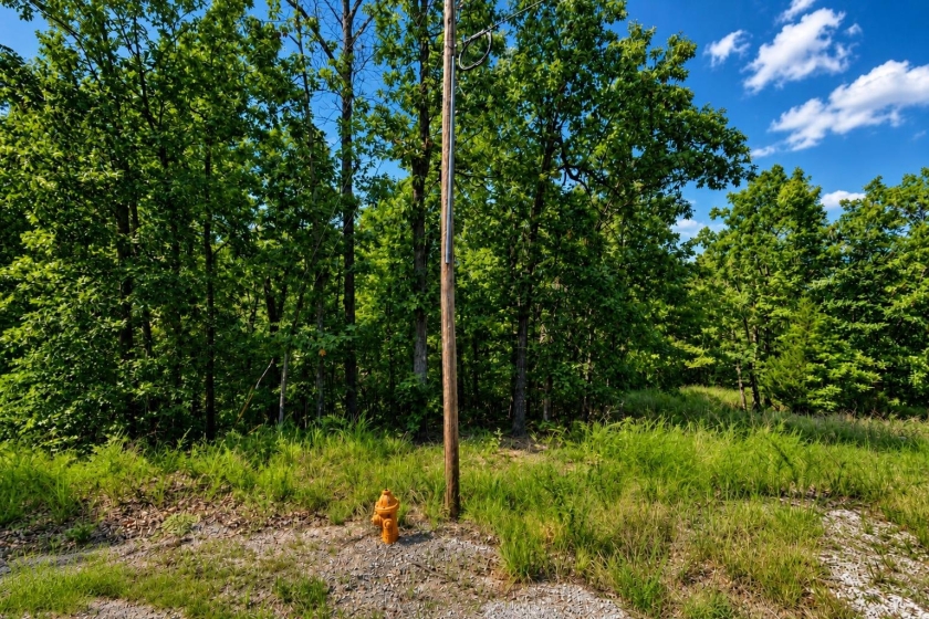 Cherokee Village (Golf Course & Lake Close), AR Land for Sale: 0.65 Acres with Paved Access & City Utilities