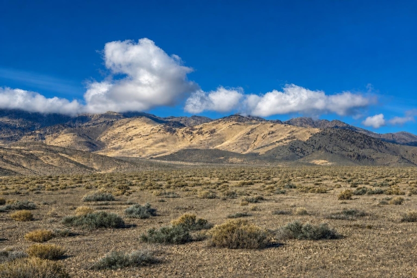 Humboldt River Ranch NV Land for Sale: 320 Acres With Off-Road Easement Access