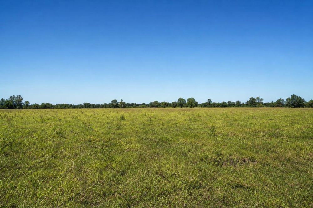 Listing image for 10-acre land in Mile High, Texas
