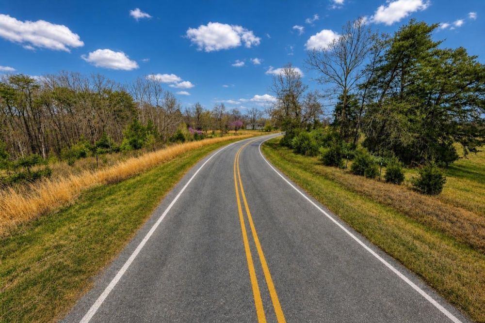 Listing image for the 2.87-acre land parcel at 525 Chumney Loop in Eden, North Carolina