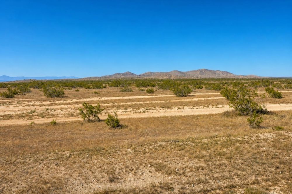 Listing image associated with the 2.8-acre California City land parcel