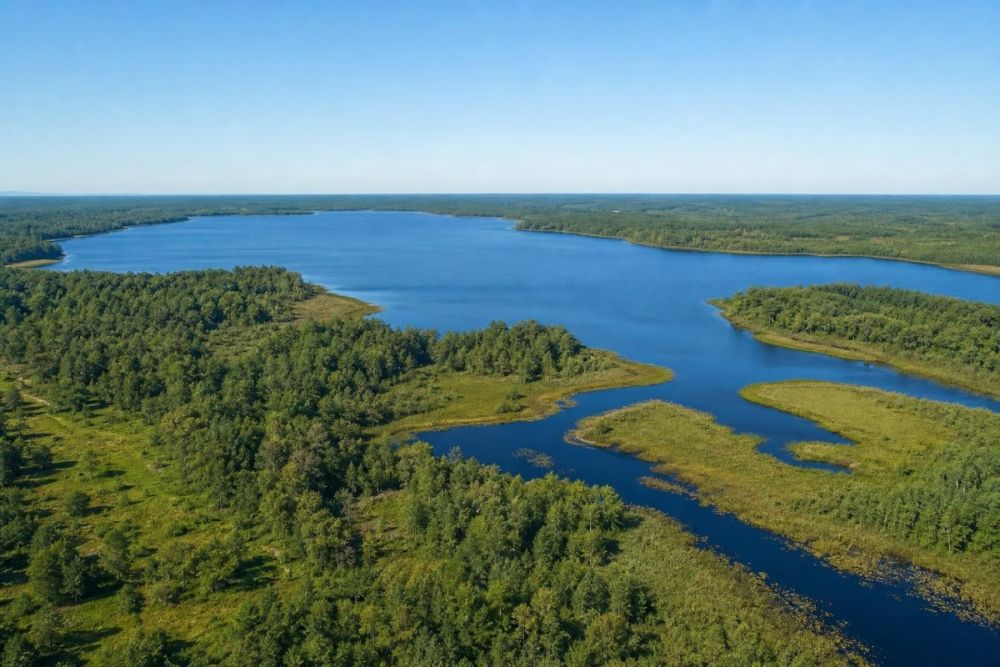Listing image for the 0.23-acre Georgetown, Florida land parcel