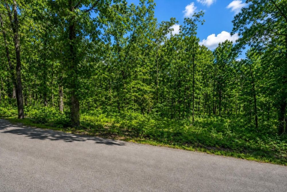 Secondary property image for Parcel 4410-02042-0000 in Van Buren County, Arkansas