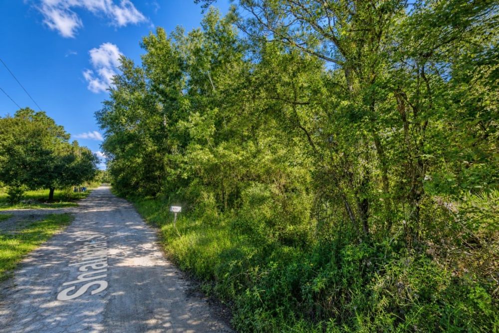 Listing image for the vacant land parcel in New Port Richey, Florida