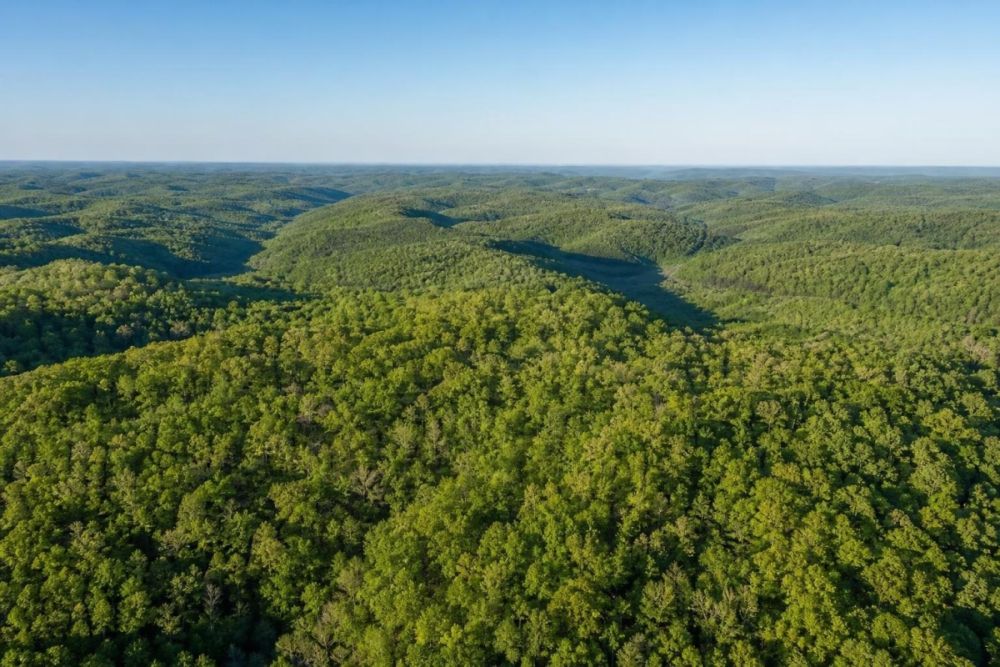 Listing image for LC19334 on Stone Crest Dr in Clayton, Georgia