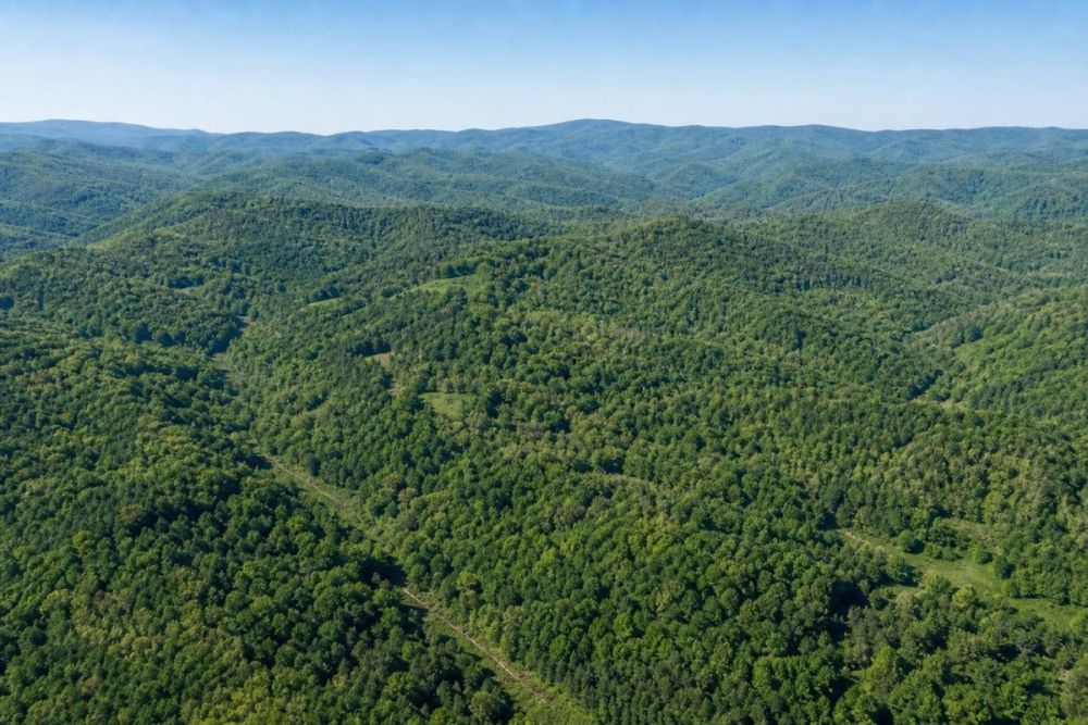 Additional listing image for parcel 052B 353 in Rabun County, Georgia