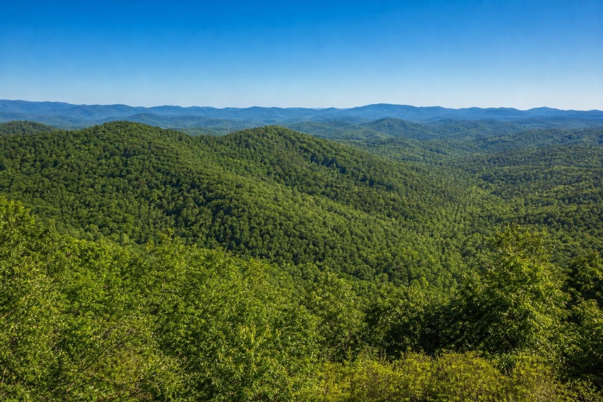 Franklin, NC Land for Sale: 1.39 Acres with Owner Financing Available