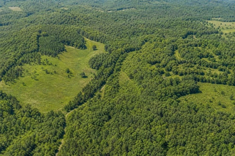 Listing image for Lot 11 Sec 2 Watauga Vista in Franklin, North Carolina