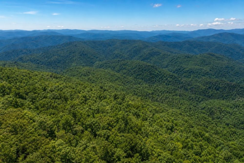 Additional listing image for the Franklin, NC land parcel