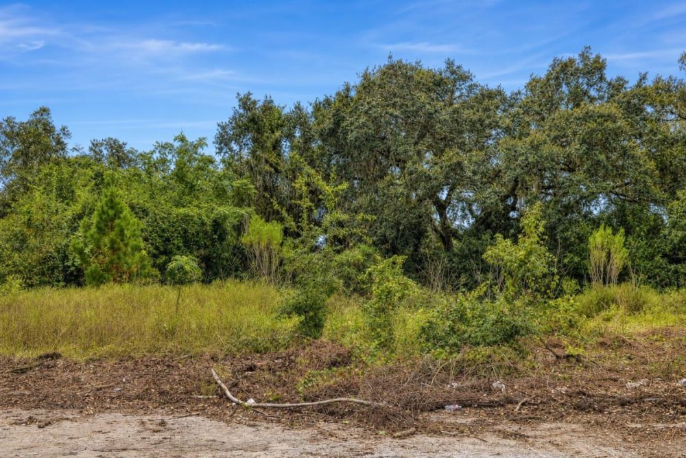 Listing photo labeled 3131 US HIGHWAY 3 for the Fruitland Park Florida land parcel