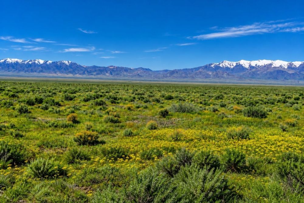 Additional listing image for Coal Cyn Road land in Pershing County