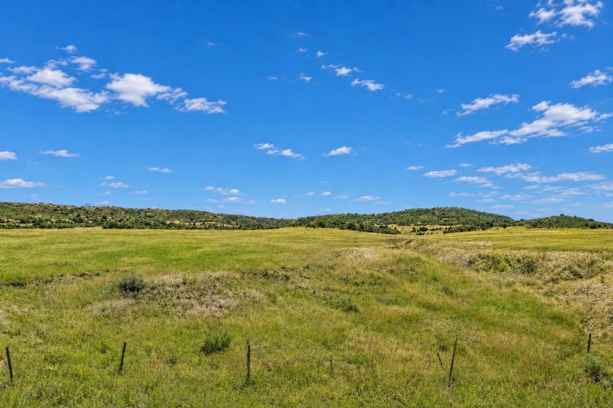 Colorado City ( Owner Finance $205.00 a month) No Credit Check, CO Land for Sale: 0.31 Acres with Utilities
