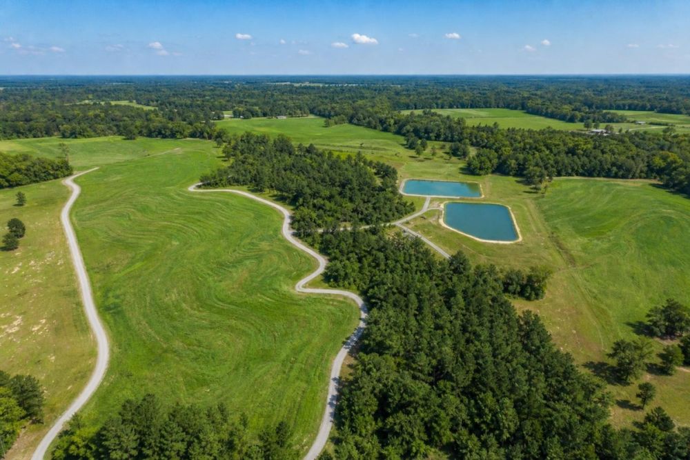 Listing photo for vacant residential land in Covington County, Alabama