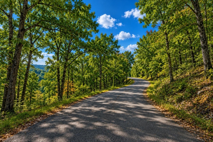 Holiday Island (Owner Financing Deal!), AR Land for Sale: 1.5 Acres with Paved Access & City Utilities