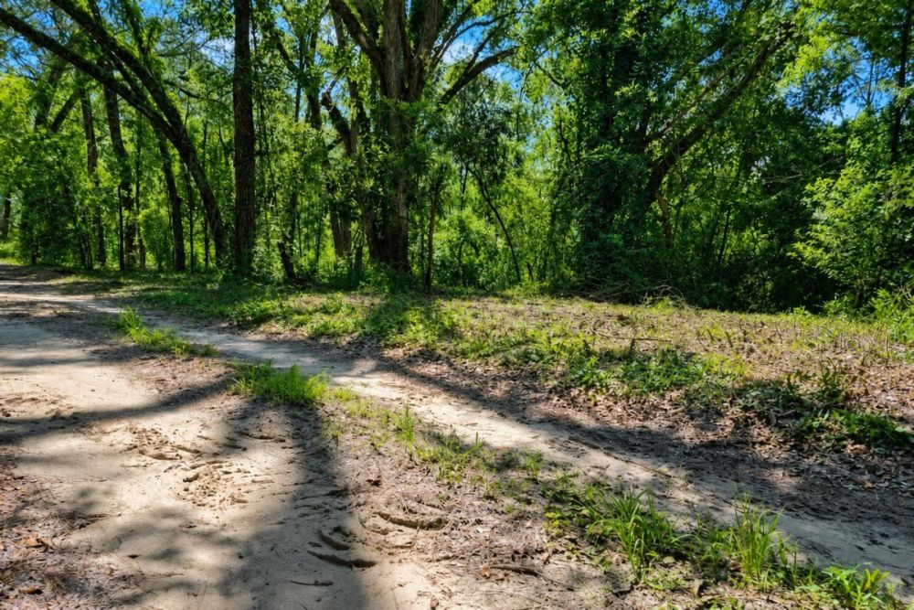 Parcel view for 147th Road land in Live Oak, Florida