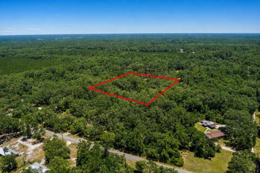 Additional listing image for the 147th Road Live Oak land parcel