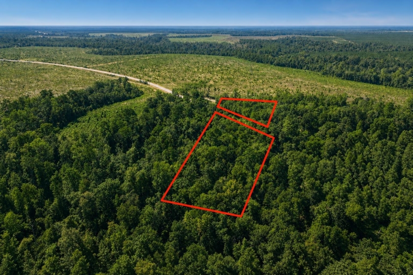 QUINCY, FL Land for Sale: 3.47 Acres with Paved Road Access