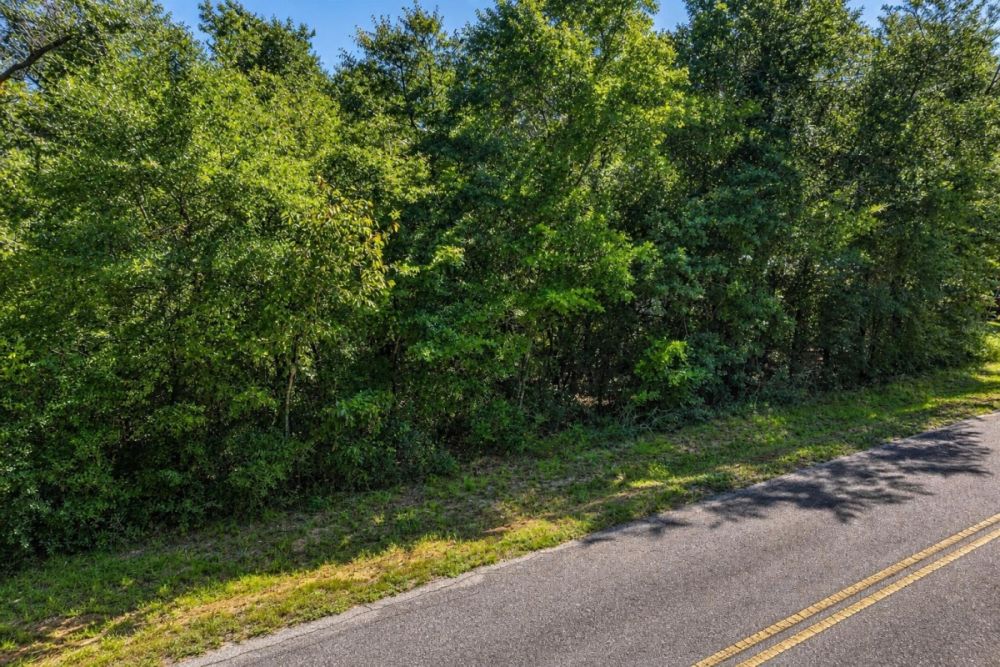 Listing image for the Potter Road land parcel in Quincy, Florida