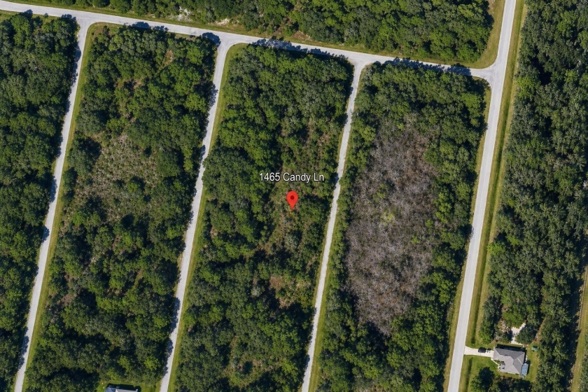 Port Charlotte, FL Land for Sale: 0.23 Acres with Paved Road Access