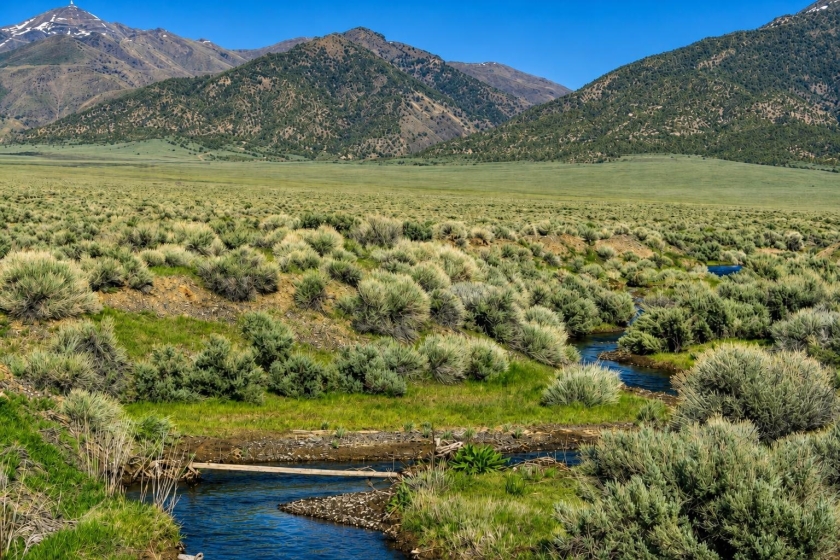 Valmy (Owner Finance $599.00 a month), NV Land for Sale: 80 Acres with Owner Financing Available