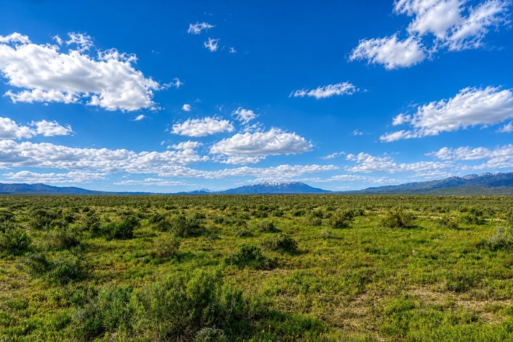 Supporting image for Treaty Hill Road Valmy land listing