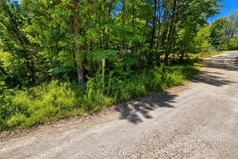 Additional listing image for the Harris County vacant land parcel