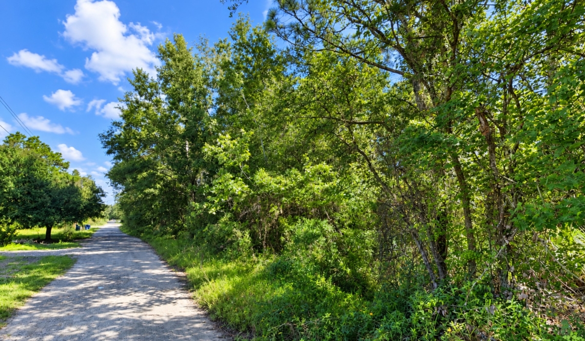 Members Discounted Deal! Nice Buildable Lot in New Port Richey, Florida – Mobile Homes Allowed | Just $10,000