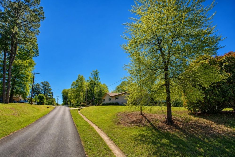 Listing image associated with the Tidwell Street vacant lot in Stephens, Arkansas