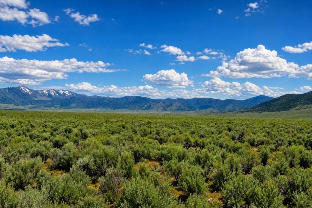 Lovelock Nevada land listing image for parcel LC26637