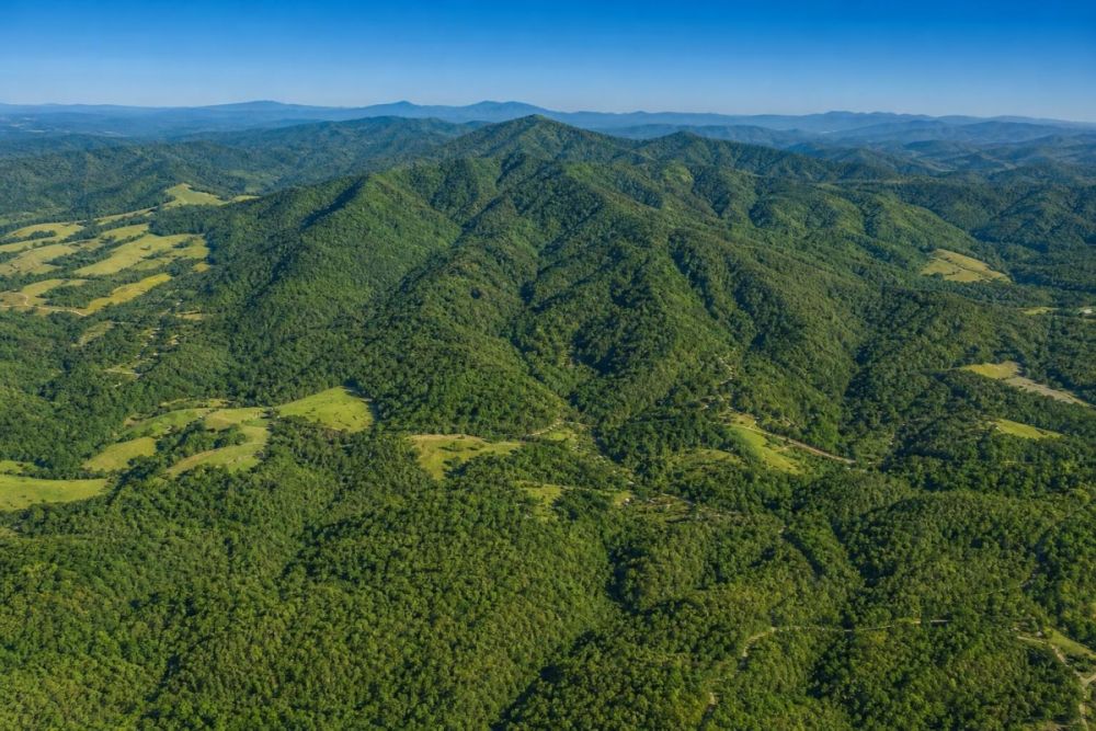 Listing image for LC26571, a 0.64-acre land parcel on Oak Ridge Trl in Jasper, Georgia