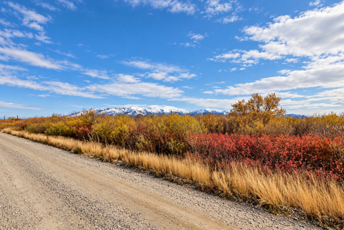 Off-Market Deal! Own Land in Elko County, Nevada for Just $500! Affordable Investment Opportunity, Road Frontage.
