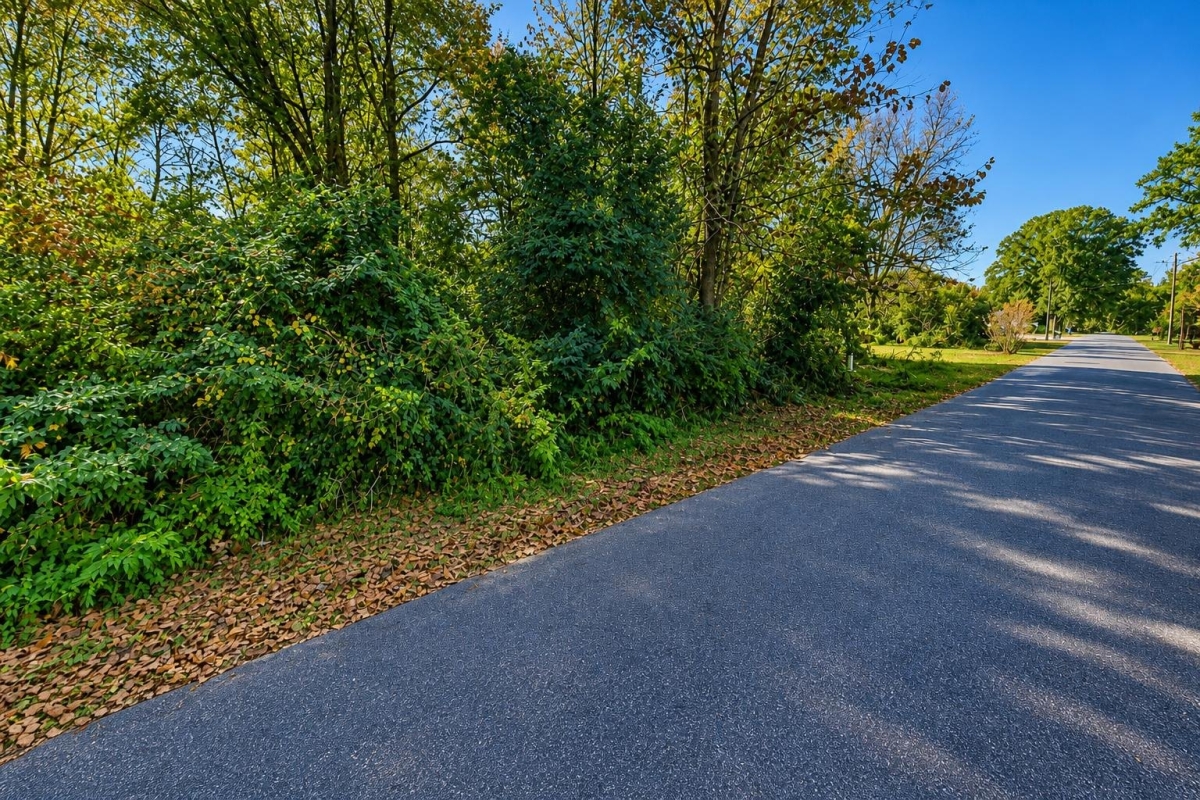 Fair Bluff, NC Land for Sale: 0.33 Acres with Paved Access & City Utilities