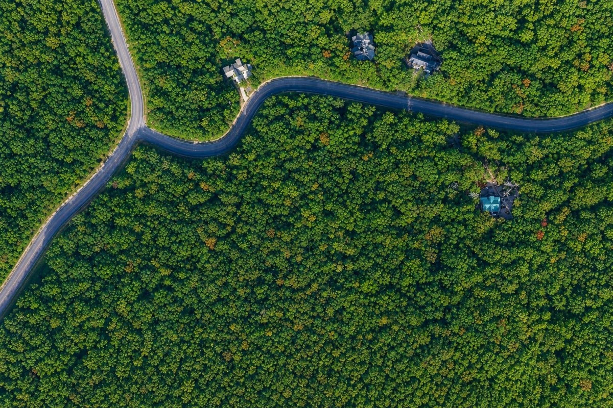 Jasper, GA Land for Sale: 3.89 Acres on Ridgeside Ct with Paved Road Access