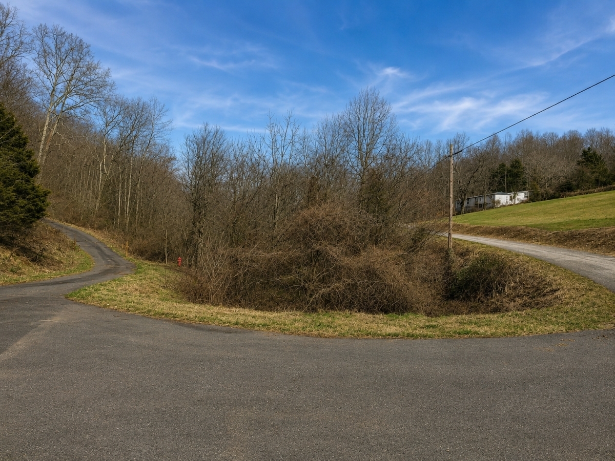 9.24 Acres for Sale in Jonesville, Virginia