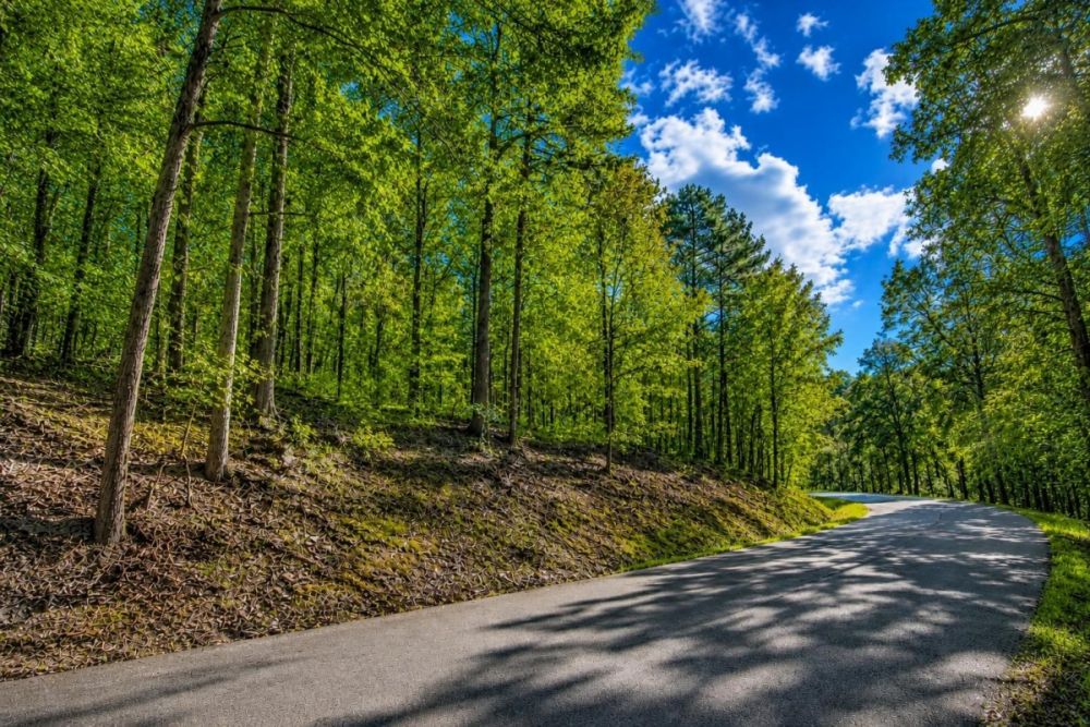 Listing image for the 0.44-acre Greers Lake Arkansas land parcel
