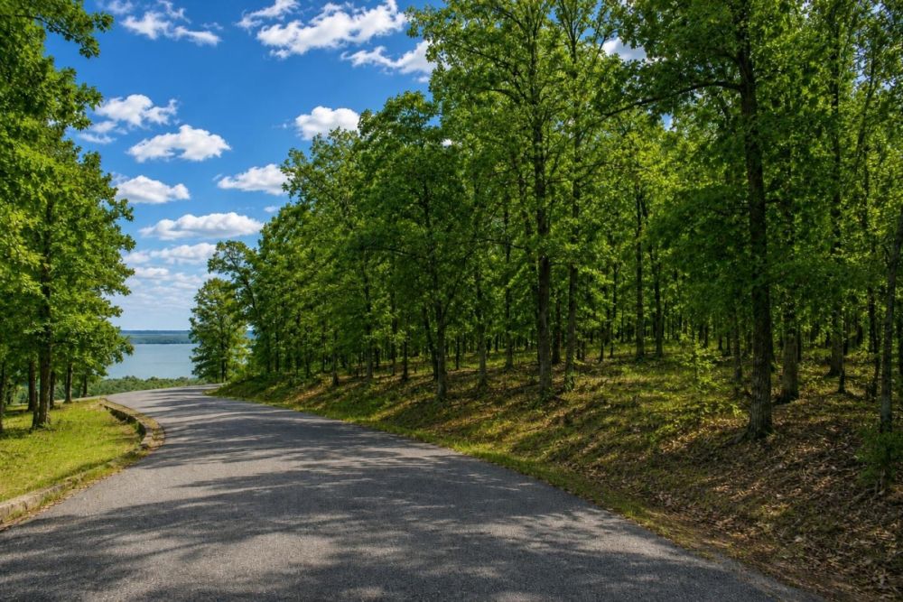 Listing image for the Glenwood Drive vacant land in Greers Lake Arkansas