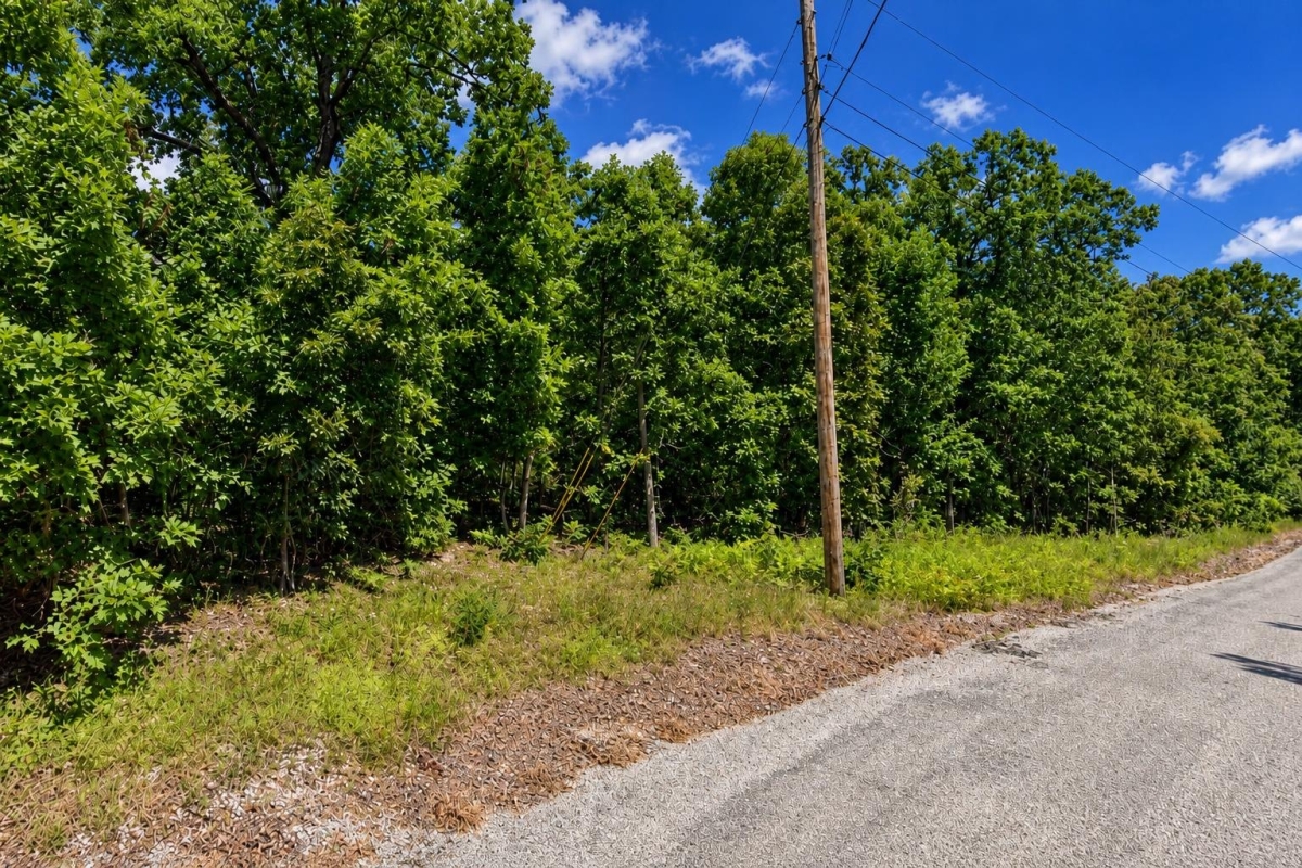 Aztec Lake, Arkansas Land for Sale: 0.35 Acres on Mono Drive, Paved Road Access Stated