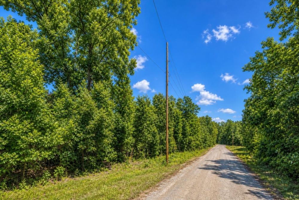 Roadside view associated with the Mono Drive land parcel in Fulton County, Arkansas
