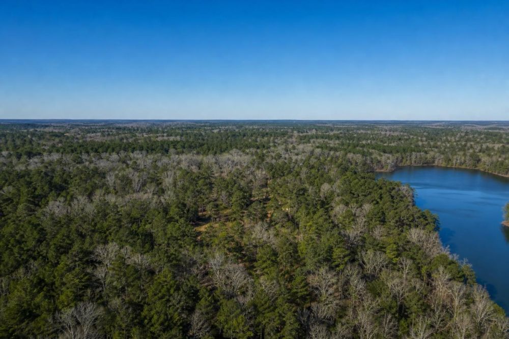 Secondary listing image for LC26766 residential land in Fulton County Arkansas