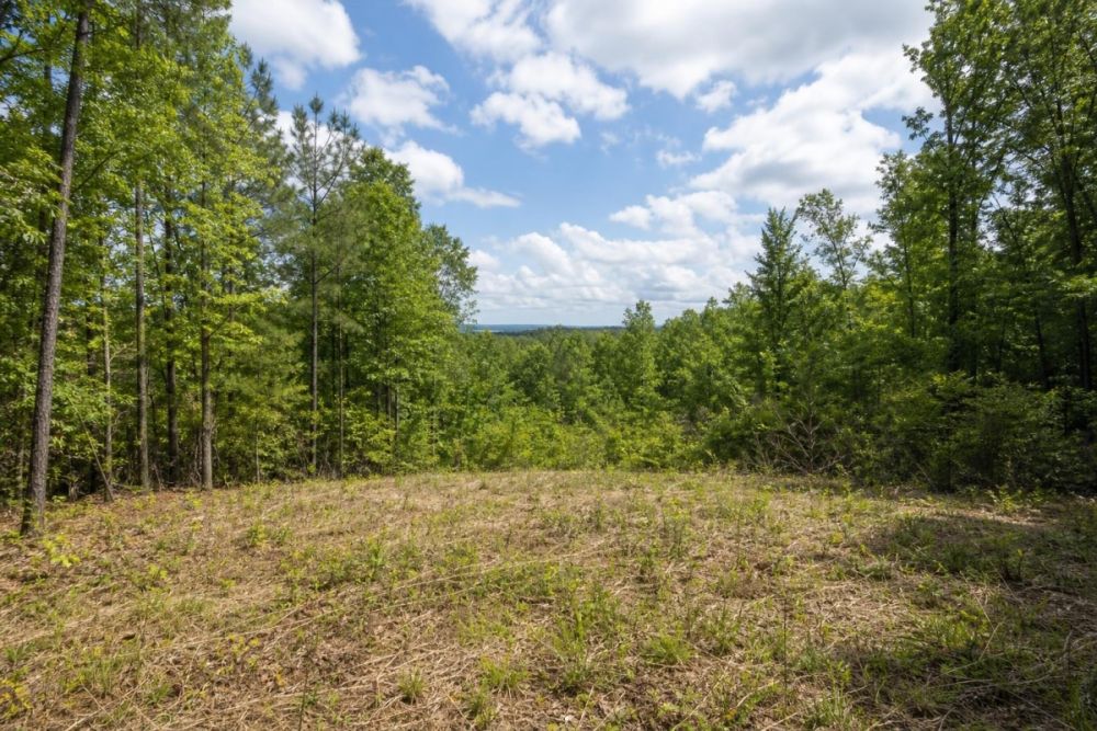 Supplied listing image for LC26764 in Marlboro County, South Carolina