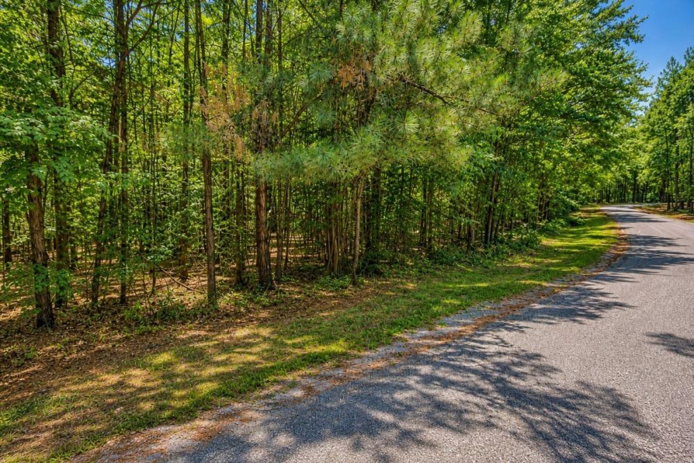 Listing image for 0.93-acre Lot 62 Anchor Cove in Bracey, Virginia