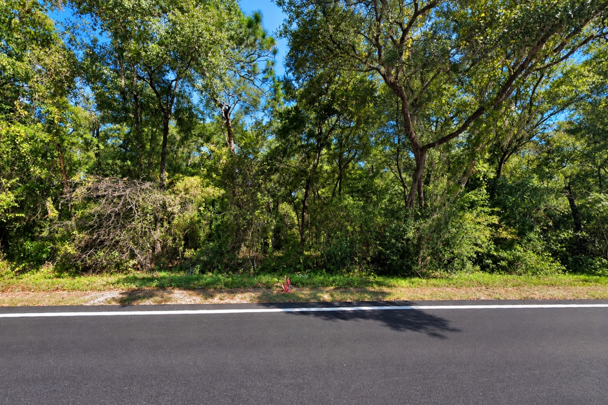 Off-Market Deal! Beautiful Residential Lot in Putnam County, Florida, with Paved Road Frontage – Just $6,000